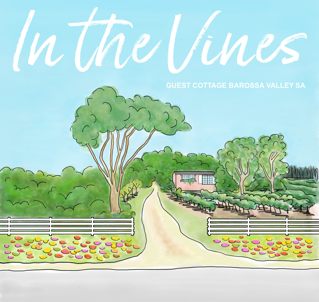 In The Vines Mixed Pack !! (Six Pack)