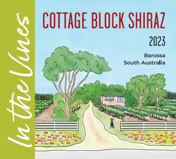 In The Vines Cottage Block Shiraz 2023 (Six Pack)