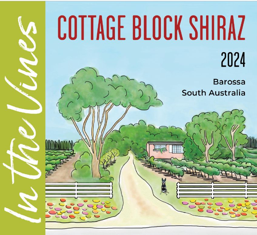 In The Vines Cottage Block Shiraz 2024 (Six Pack)