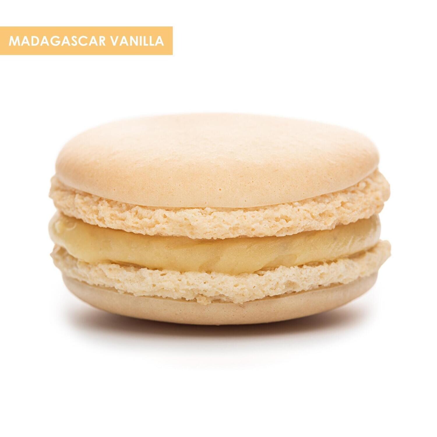 Premium XL Macarons Madagascar Vanilla