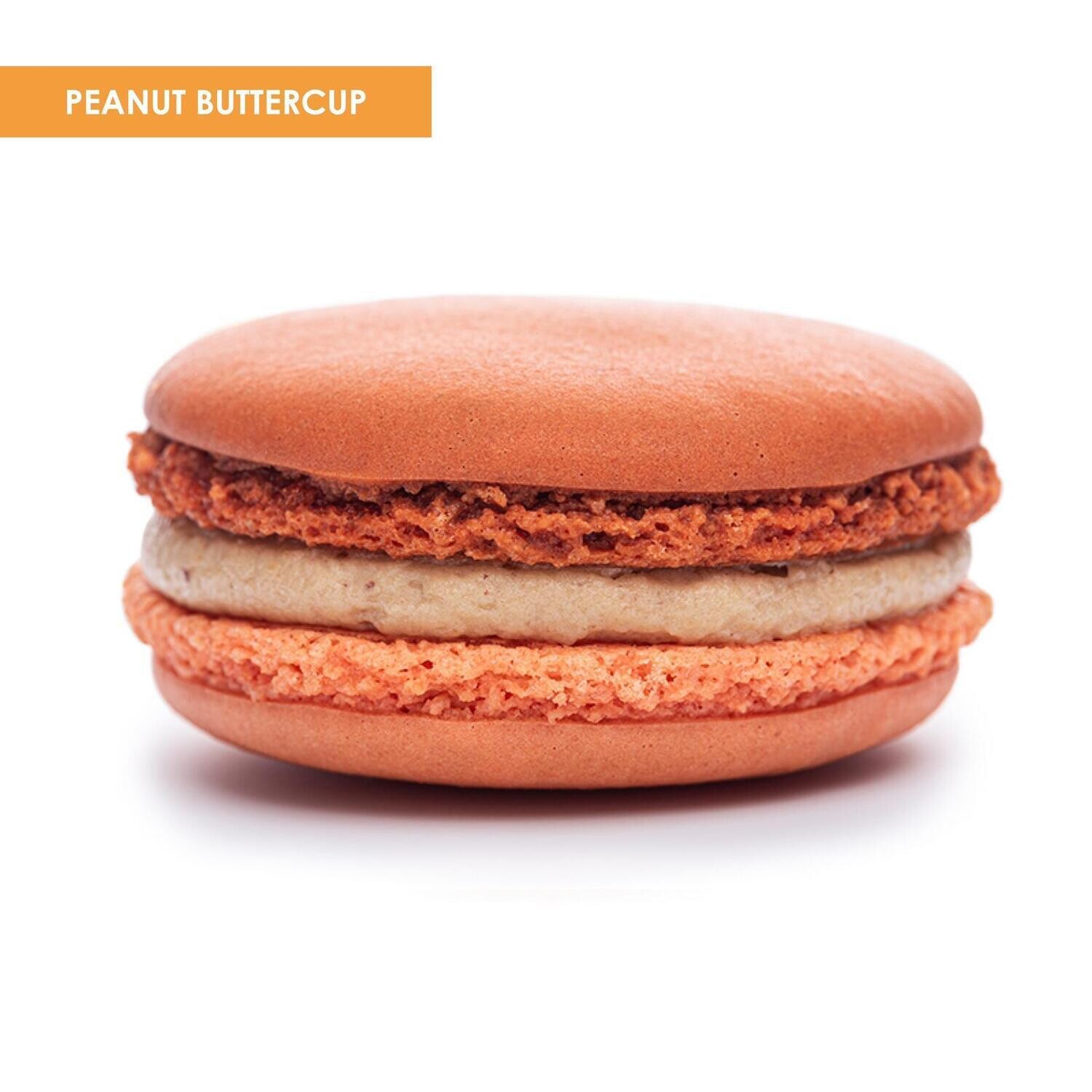 Premium XL Macarons Peanut Buttercup