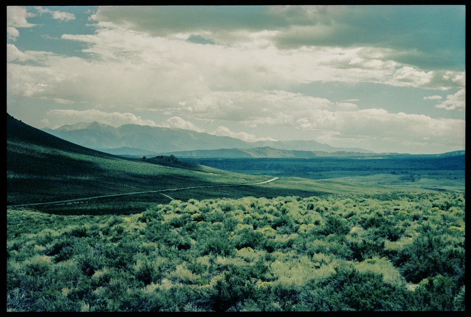 CA NV