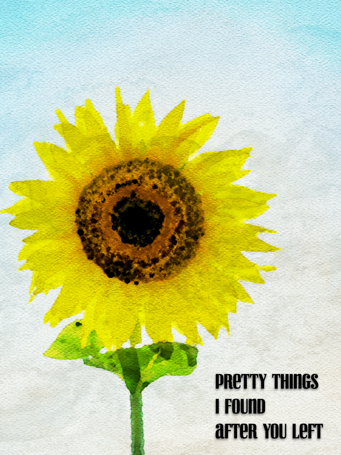 Pretty Things I Found After You Left