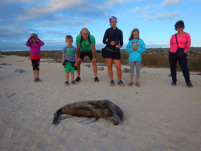 Galápagos sin Boleto