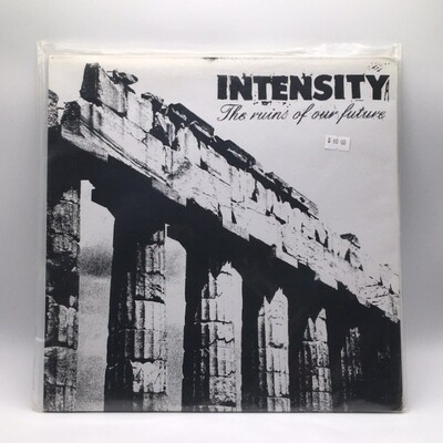 [USED] INTENSITY -THE RUINS OF OUR FUTURE- LP
