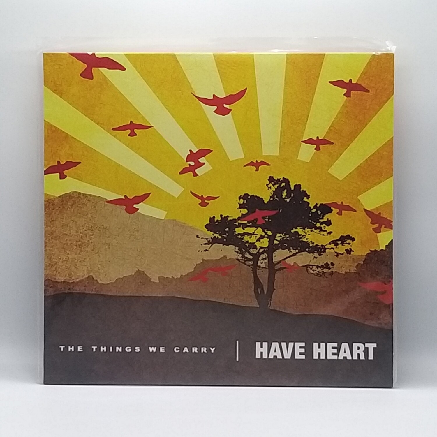 HAVE HEART -THE THINGS WE CARRY- LP (COLOR VINYL)