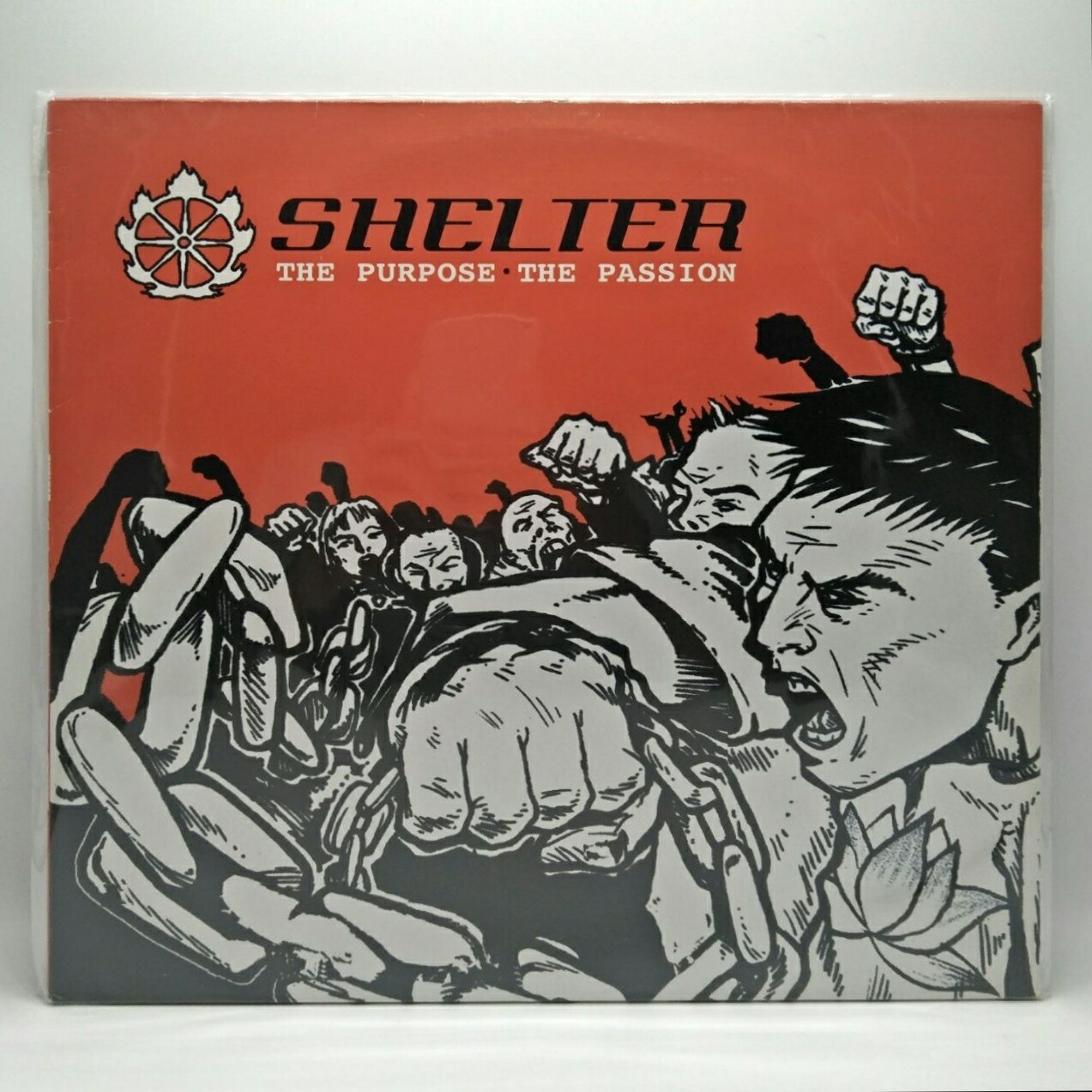 [USED] SHELTER -THE PURPOSE THE PASSION- LP (CLEAR PINK VINYL)