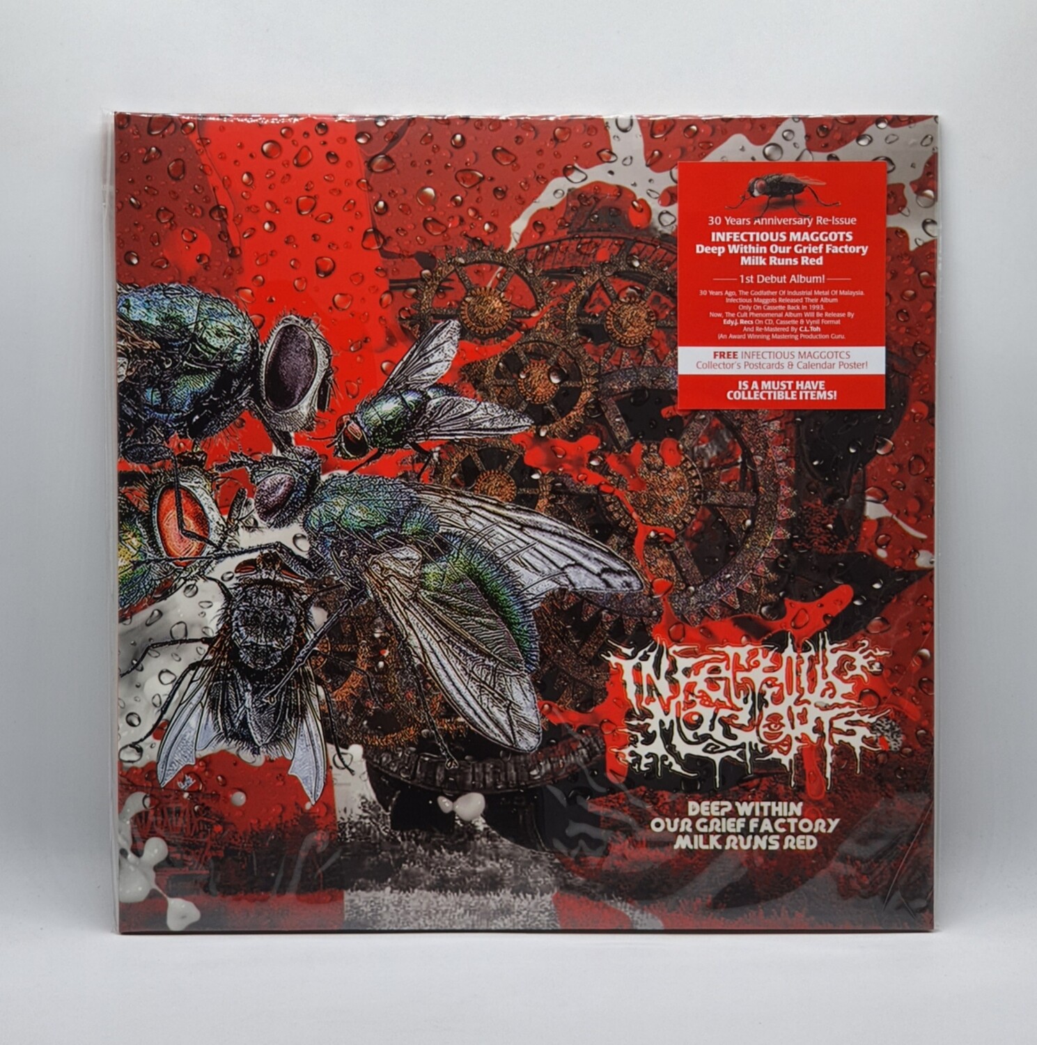 INFECTIOUS MAGGOTS -DEEP WITHIN OUR GRIEF FACTORY MILK RUN RED- LP