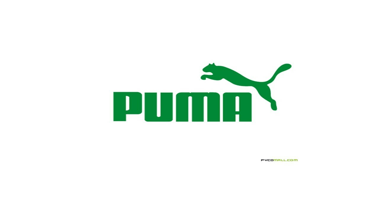 profile of puma company