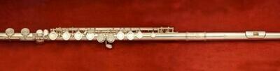Di Zhao 201COF Flute