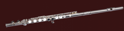 Di Zhao 500BGF Flute