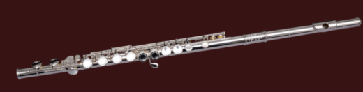 Di Zhao 700BOF Flute