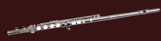 Di Zhao 801BOF Flute