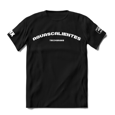 Hecho En Mexico AGUASCALIENTES  T-shirt