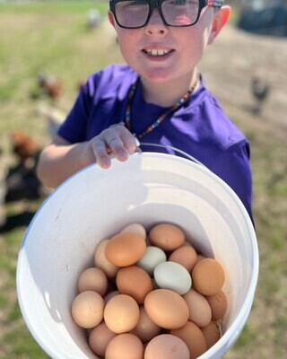 Memorial Day Egg Special