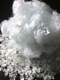 Spinning polyester staple fiber