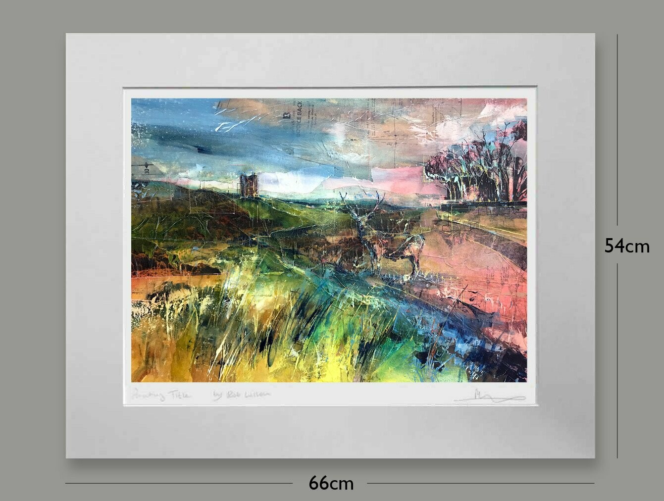 National Trust: Red Sky at Night, Lyme Park, Options: mounted, Size: Medium