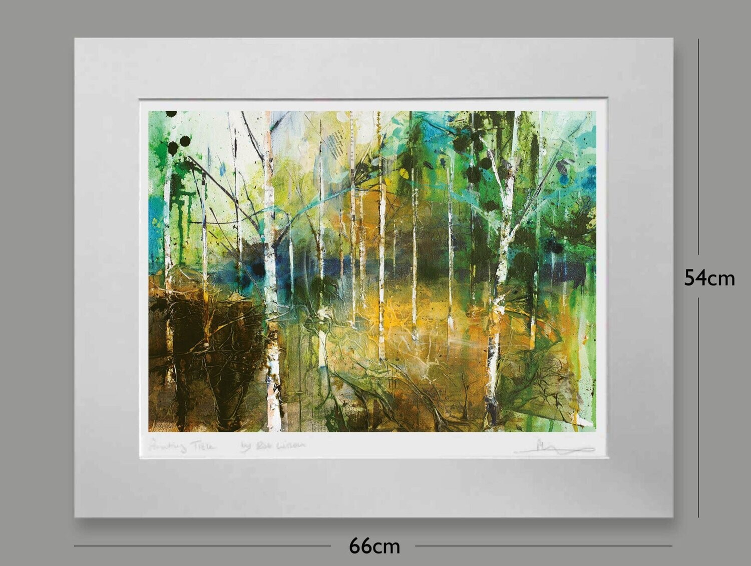 National Trust: Winter Garden, Dunham Massey, Options: mounted, Size: Medium