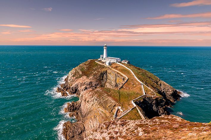 (5) South Stack, Anglesey - 31/03/26