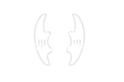 Clear Paddle Shifter