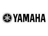 Yamaha Acoustic Guitars