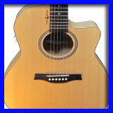 Acoustic Guitars