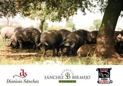 Ibérico - Jamon - Salami - Chorizo - Sliced Packs &amp; Boneless Hams