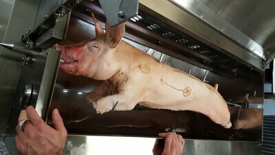 BLAIR HOUSE FARM - TRADITIONAL FARMHOUSE - OUTDOOR REARED - SPIT READY - FULL PORCINE - x +/- 45kg(+/- 99lbs)
