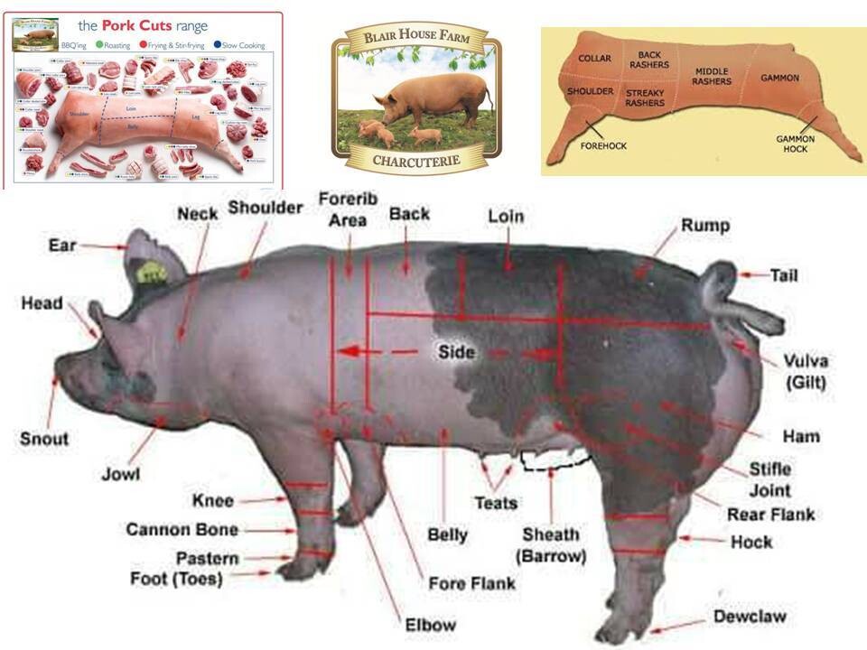 BLAIR HOUSE FARM - TRADITIONAL FARMHOUSE - OUTDOOR REARED - FULL PORCINE for FREEZER - 1No SIDE of PORK &amp; 1No SIDE of BACON x +/- 45kg(+/- 99lbs)