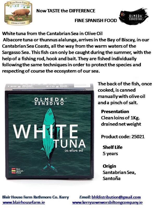 Olmeda Origenes - WHITE TUNA from CANTABRIAN SEA in OLIVE OIL x 1Kg