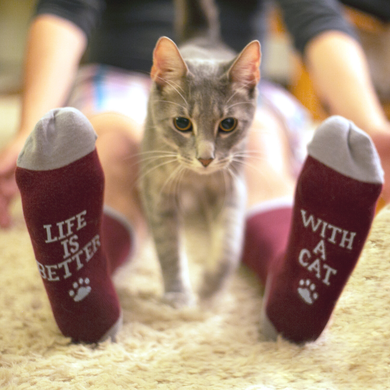 WP - Cat People S/M Unisex Socks #67420