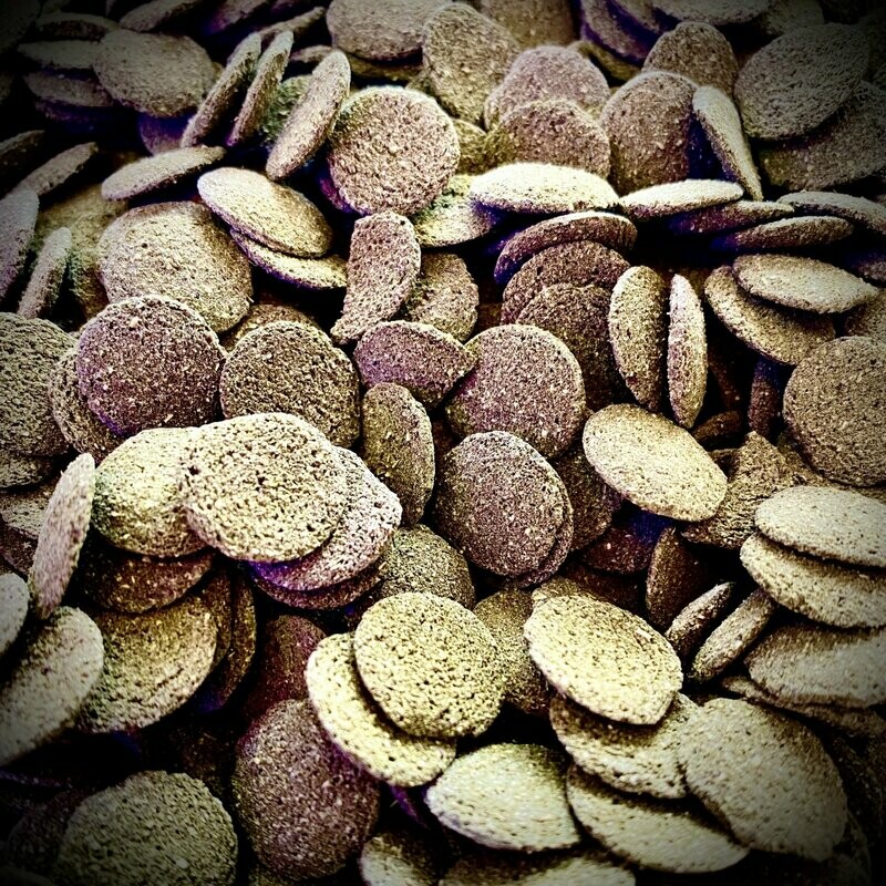 Isopod Gourmet - Algae Discs