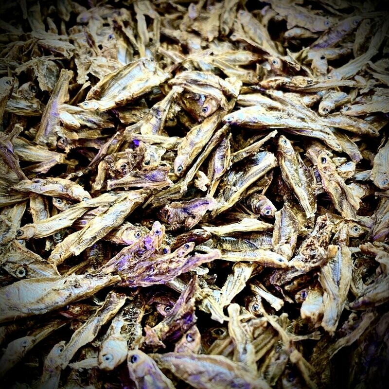 Isopod Gourmet - Dried Fish