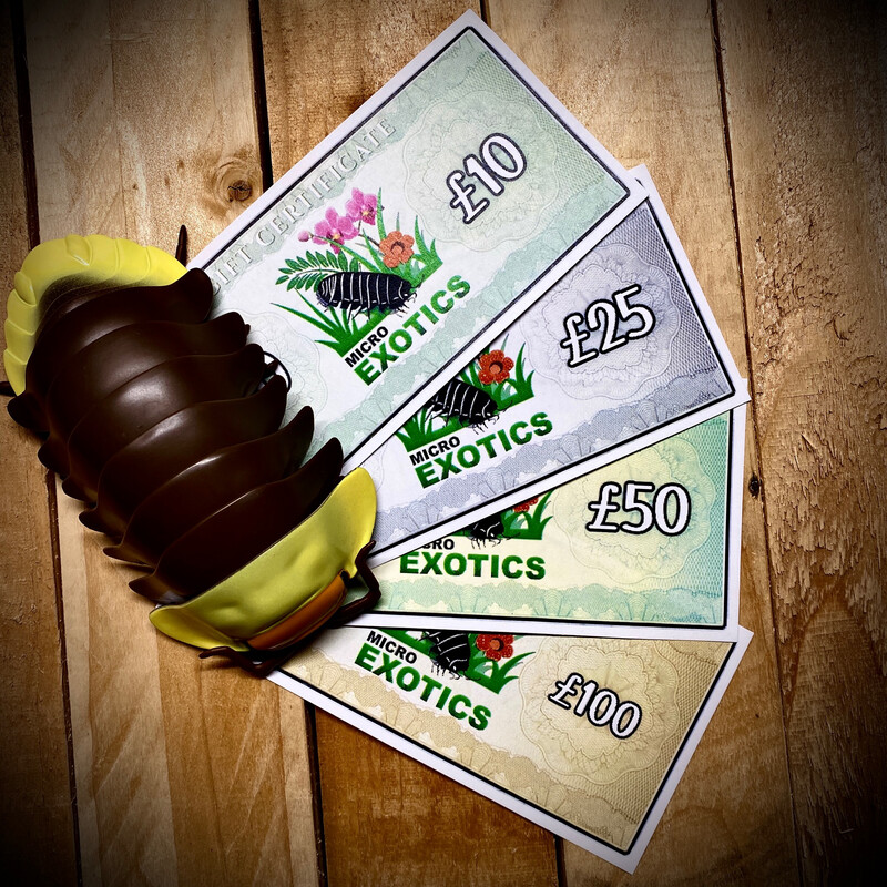 Micro Exotics Gift Voucher