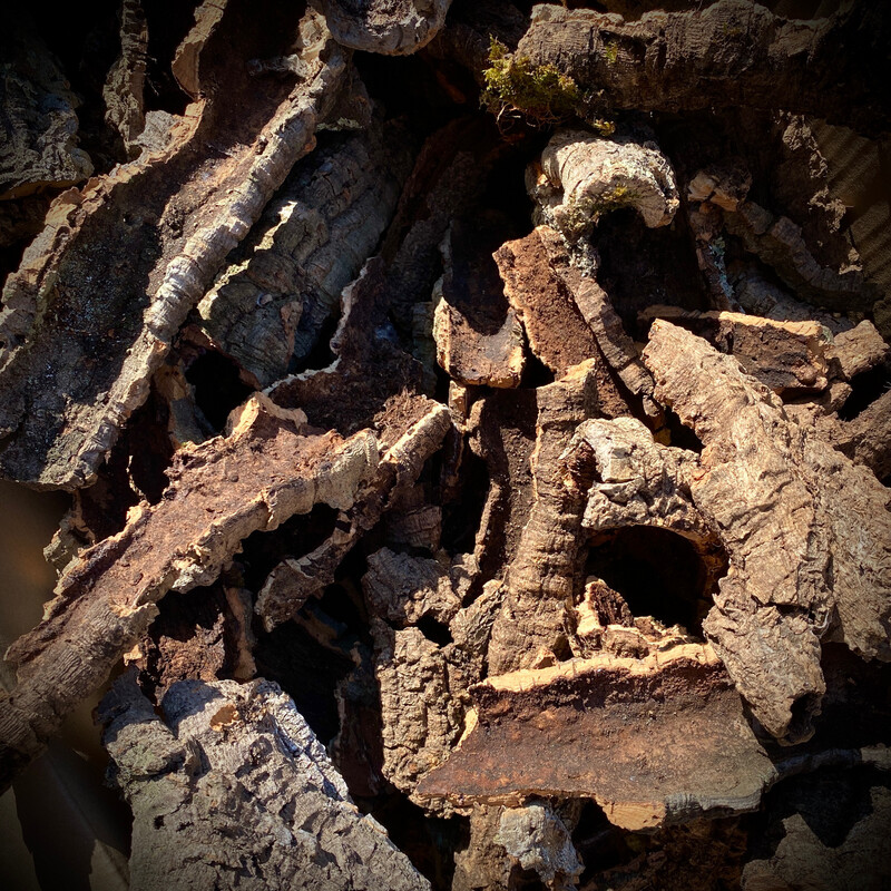 Cork Bark
