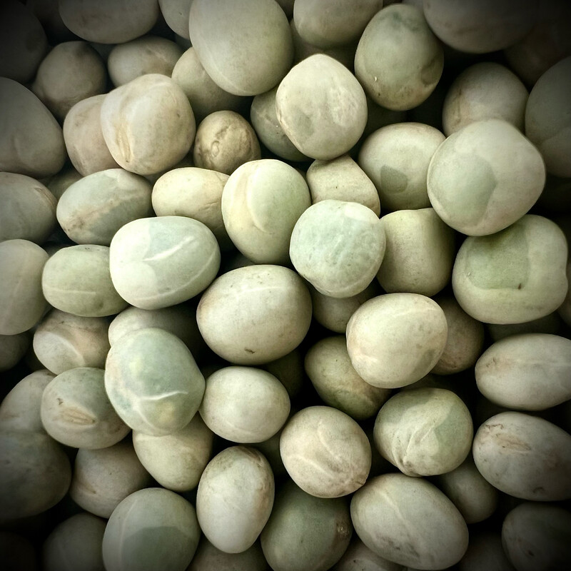Isopod Gourmet - Dried Peas