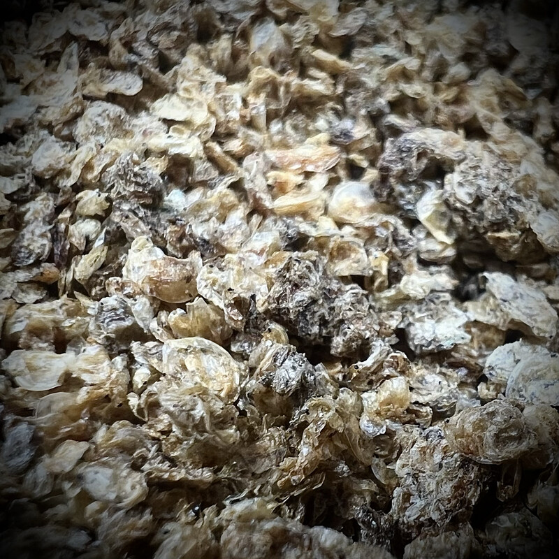 Isopod Gourmet - Dried Daphnia