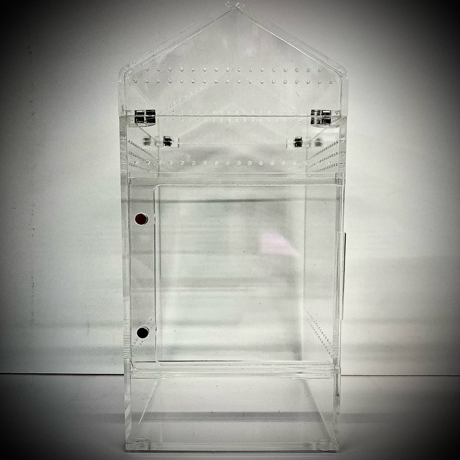Small Acrylic Arboreal Enclosure (Removable Magnetic Lid)