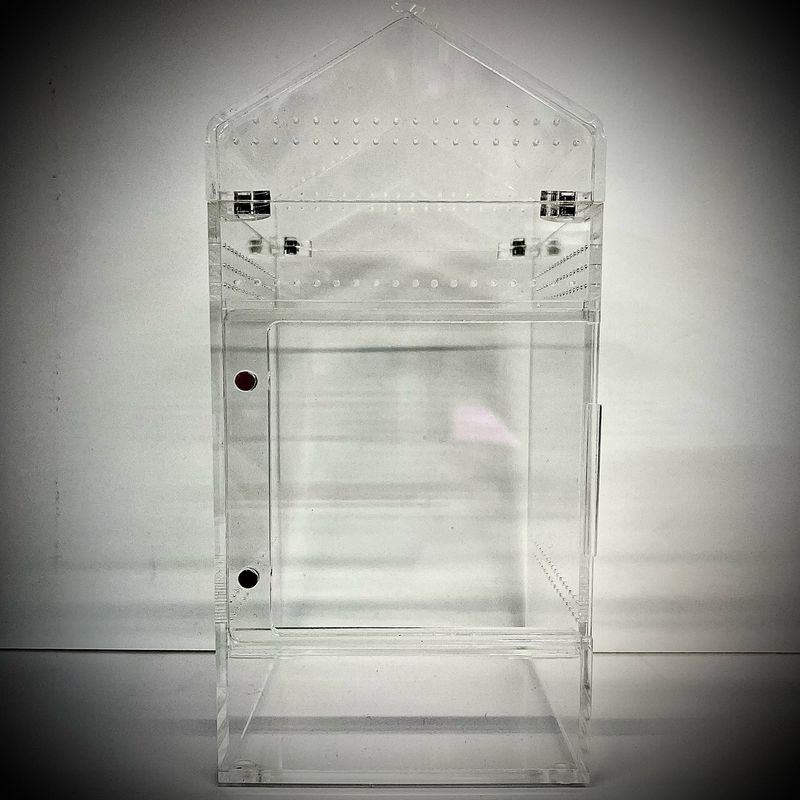 Small Acrylic Arboreal Enclosure (Removable Magnetic Lid)