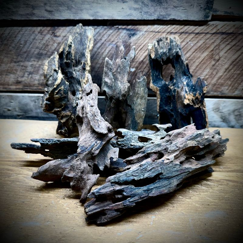 Honeycomb Wood – 10–20 cm (Per Piece) Honeycomb Wood – 10–20 cm (Per Piece)