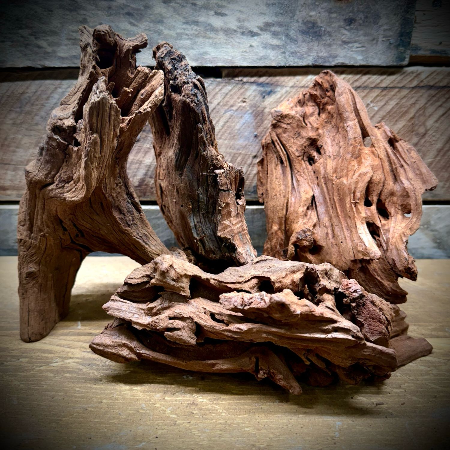 Small Driftwood (approx. 10–20 cm)