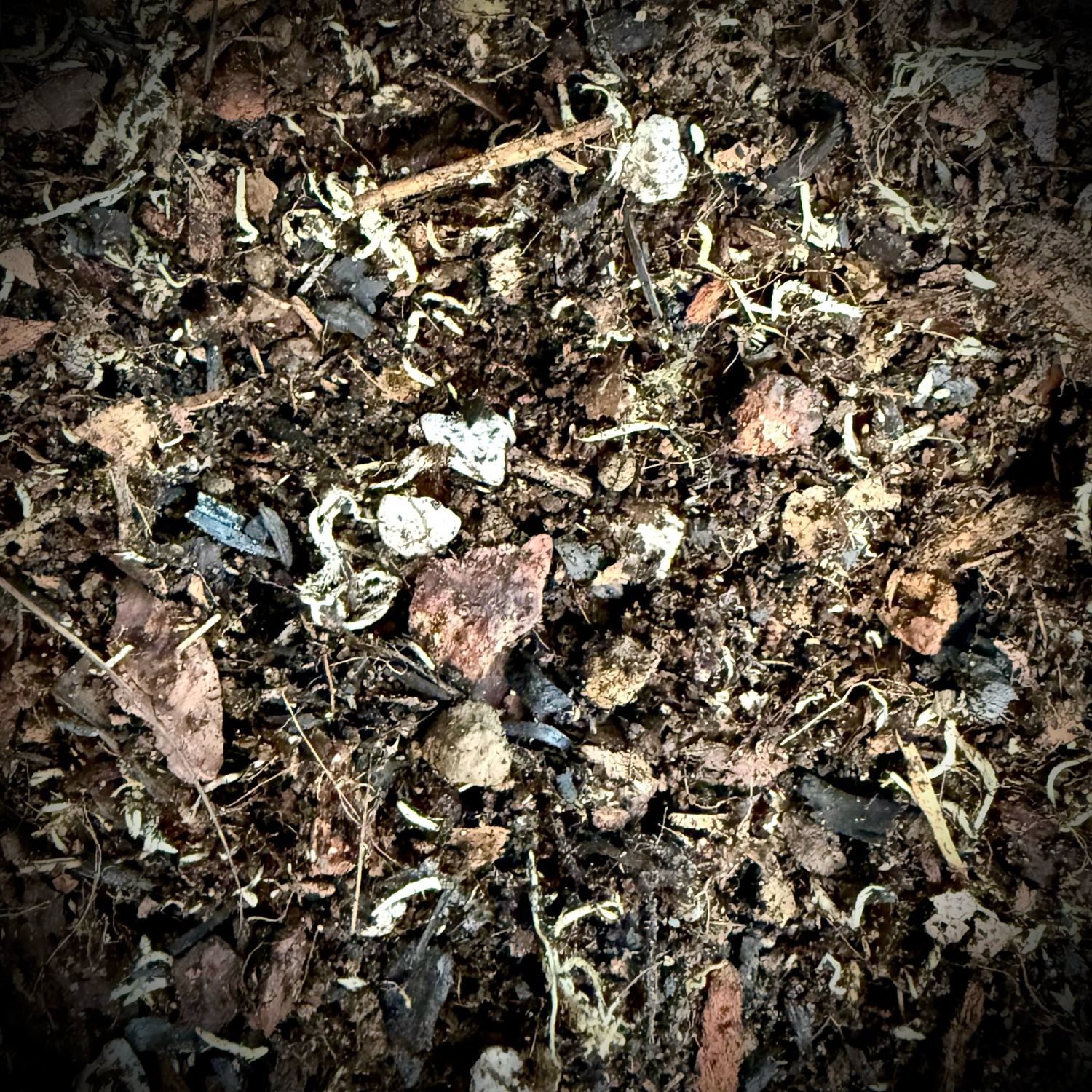 Premium Terrarium Substrate 1.2L