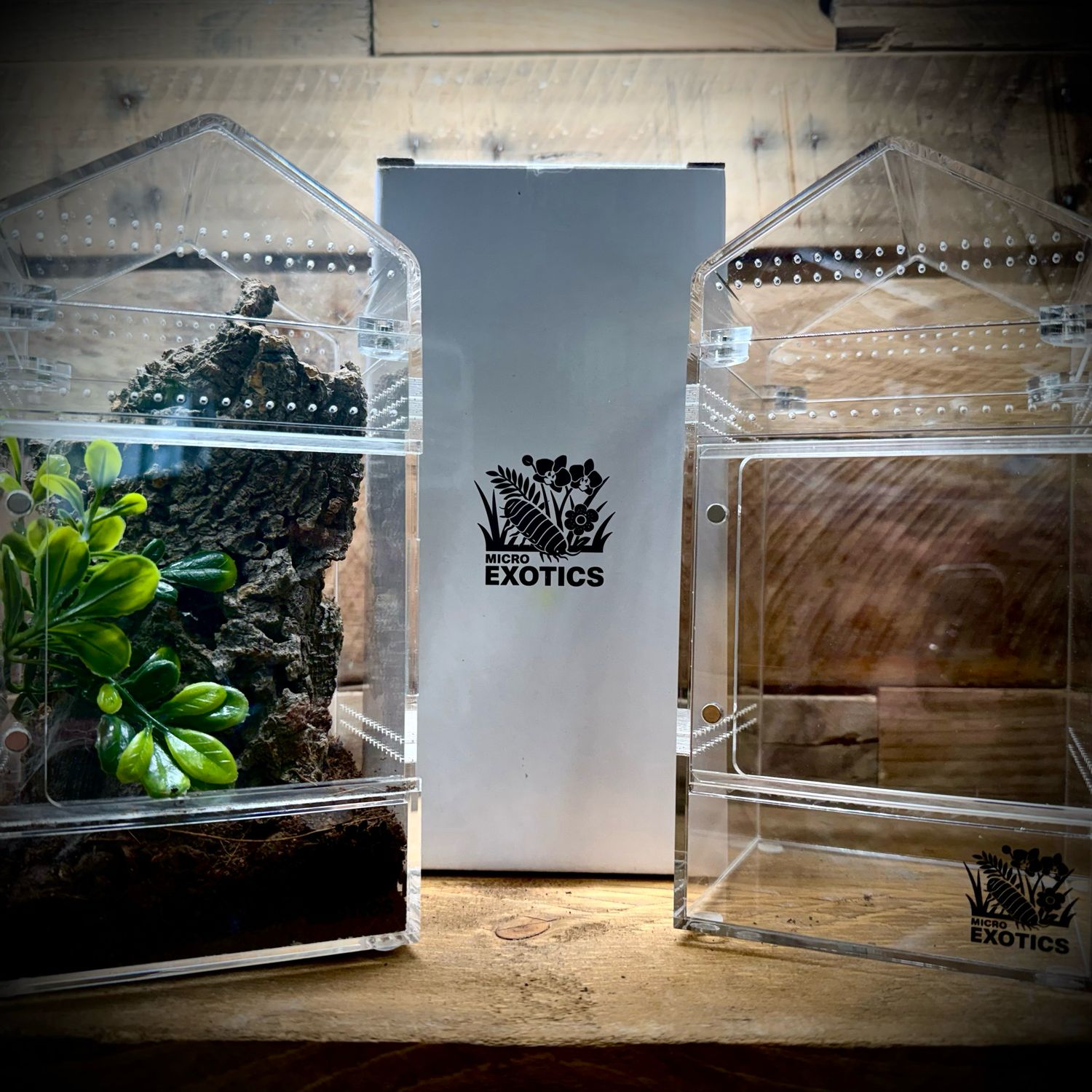 Small Acrylic Arboreal Enclosure (Removable Magnetic Lid) Small Acrylic Arboreal Enclosure (Removable Magnetic Lid)
