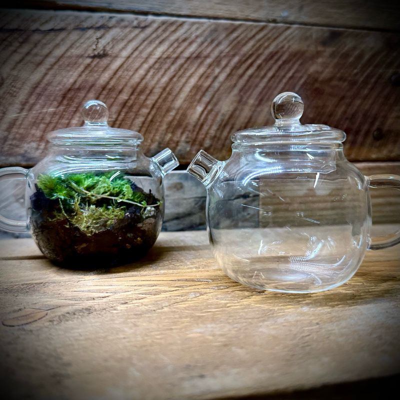 Flores Teapot Glass Terrarium Flores Teapot Glass Terrarium