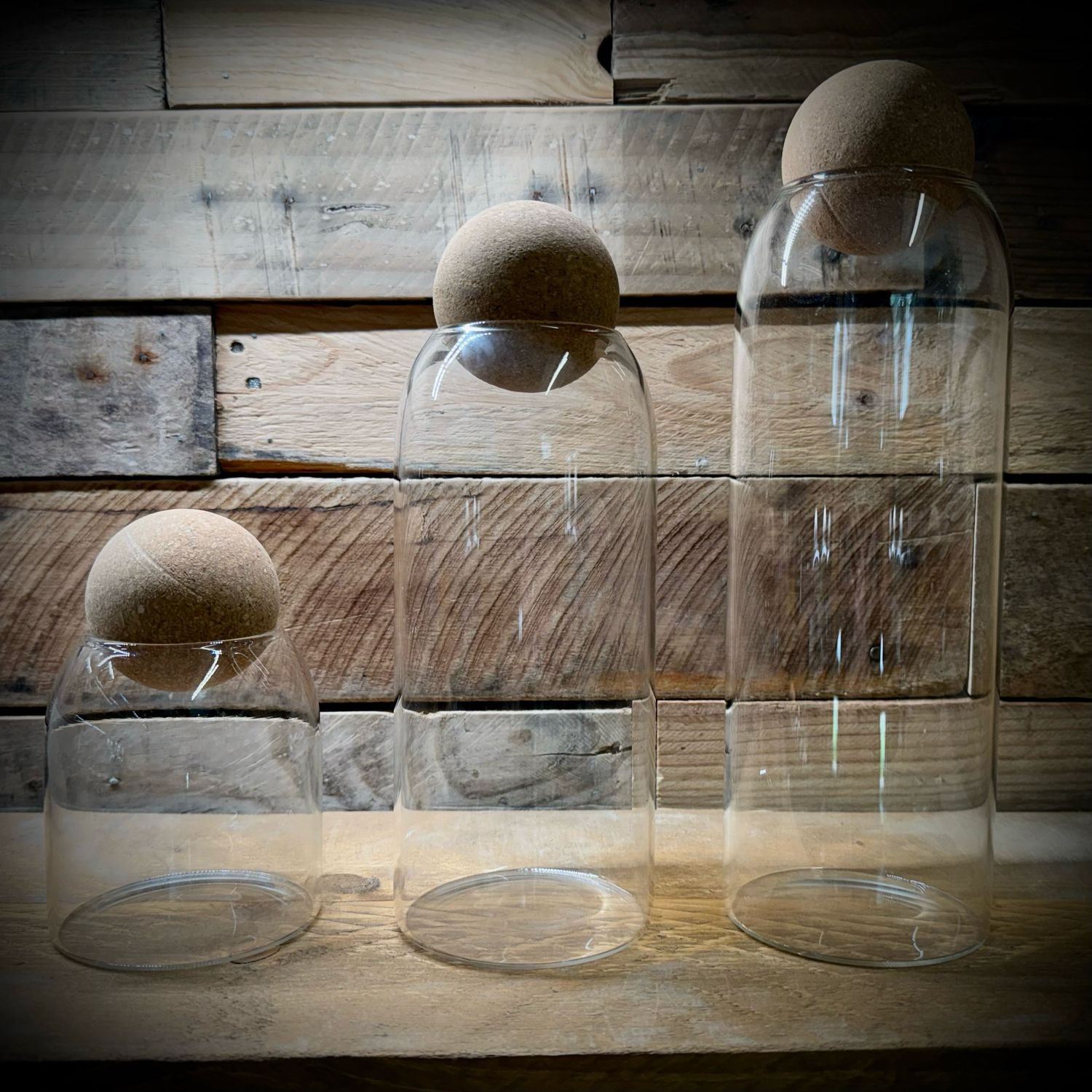 Sumba Glass Terrarium Sumba Glass Terrarium