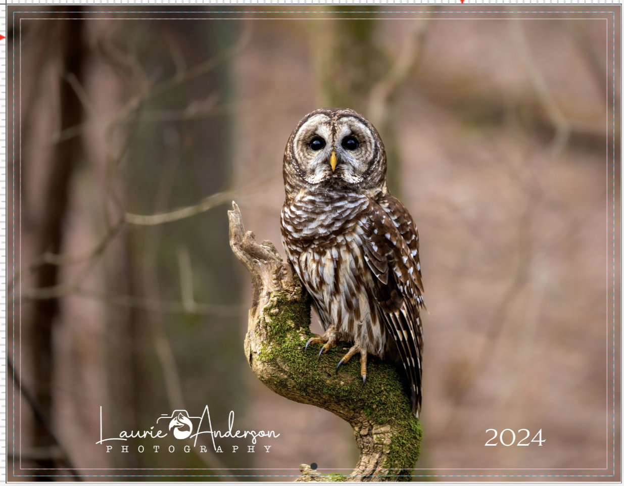 2024 Wildlife Calendar - Pre-Order