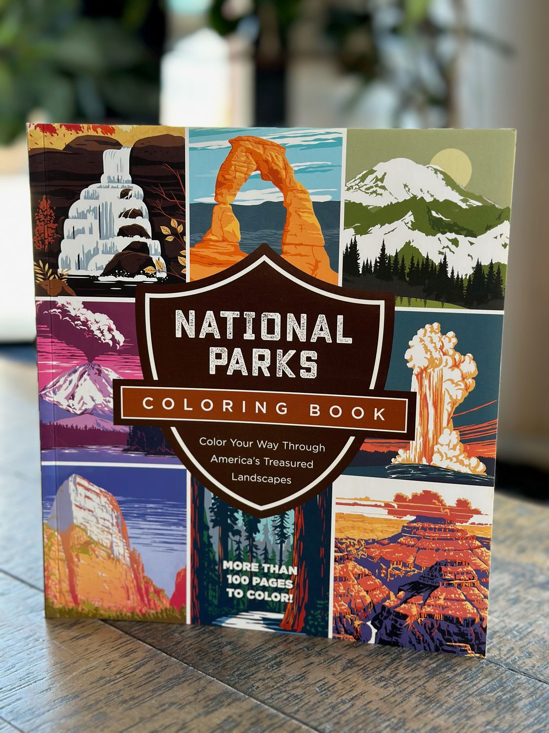 National Parks Coloring Book