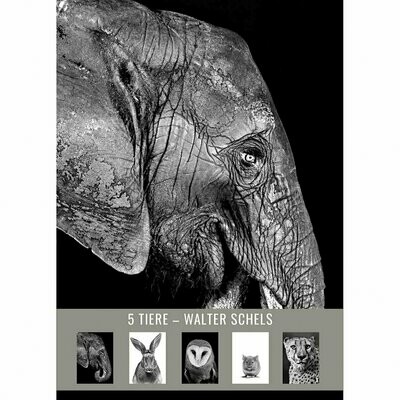 5 TIERE Postkartenset #8 Elefant, Hase, Eule, Maus, Gepard
