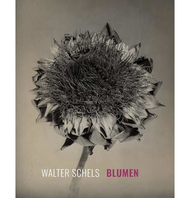 Blumen | Magazin
