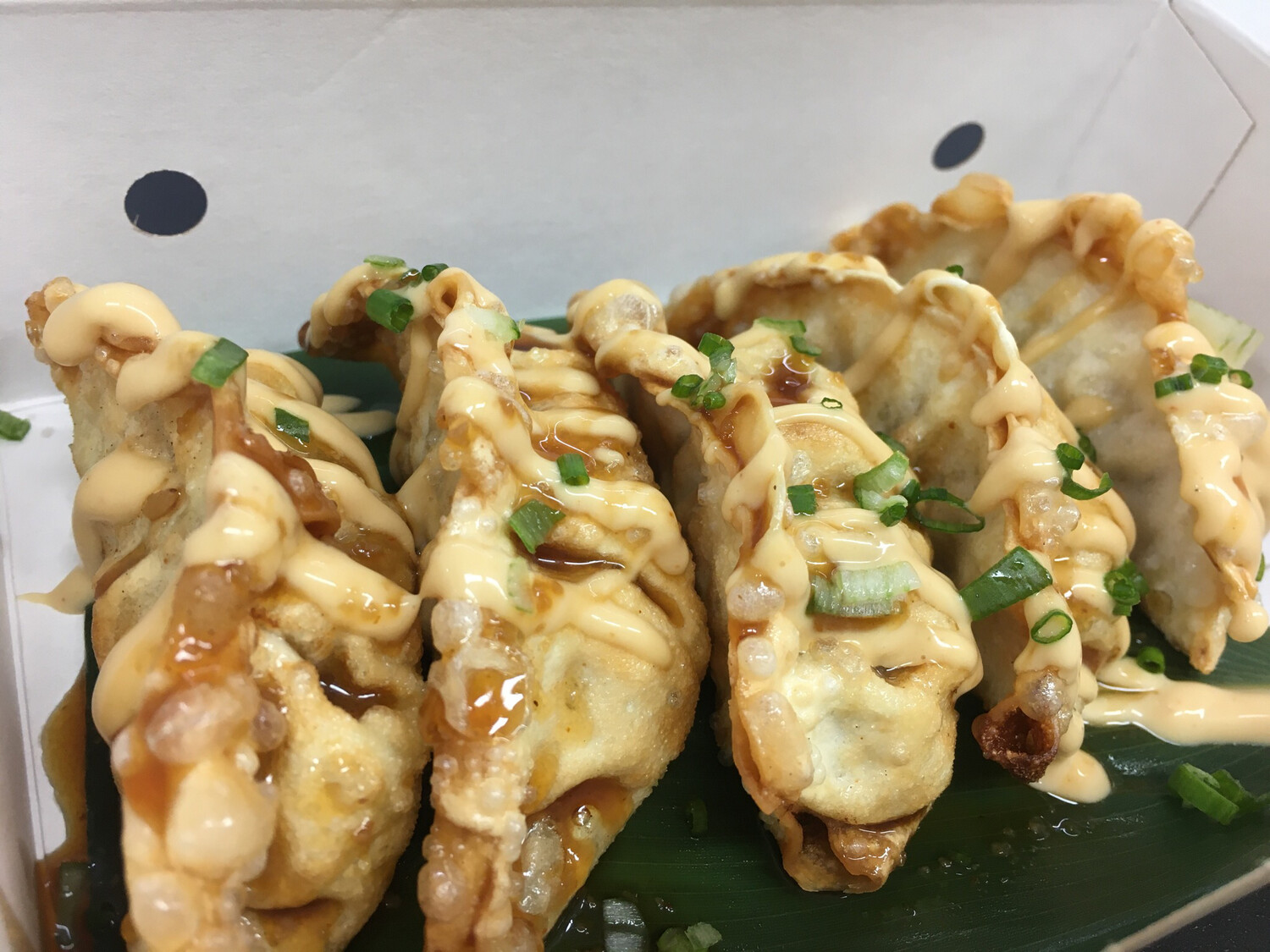 GYOZAS POLLO CRUJIENTES (6 piezas)